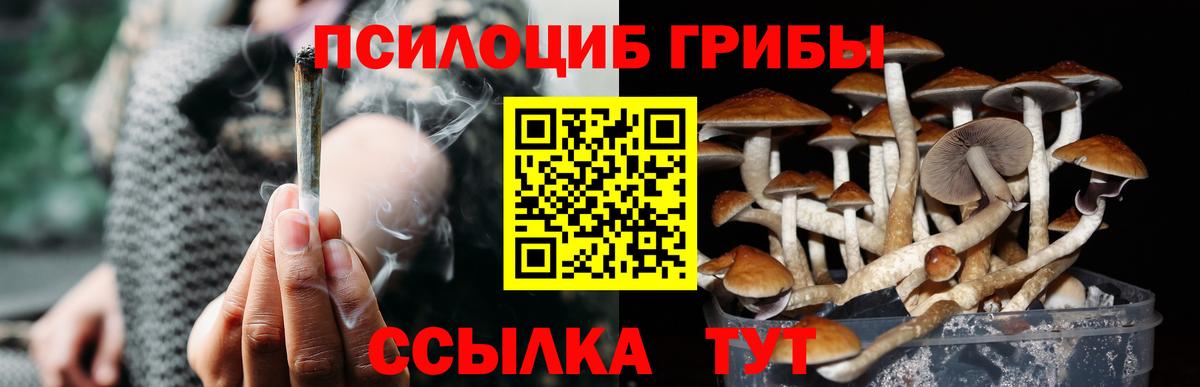Юрга  как найти   Вход с VPN  Галлюциногенные грибы прущие грибы  Псилоцибиновые грибы MAGIC MUSHROOMS 
